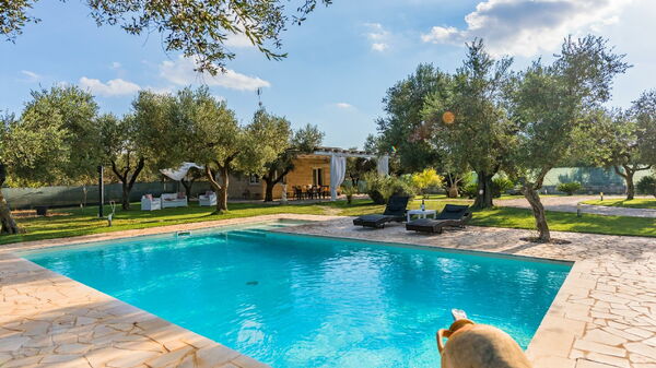 Villa Safiria: basseng