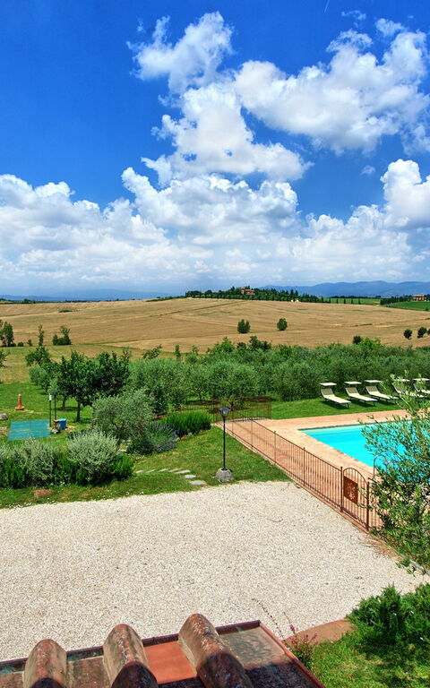 Villa Farneta: basseng, Hage