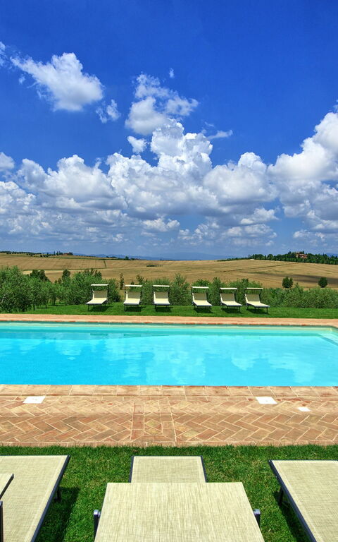 Villa Farneta: basseng, Hage