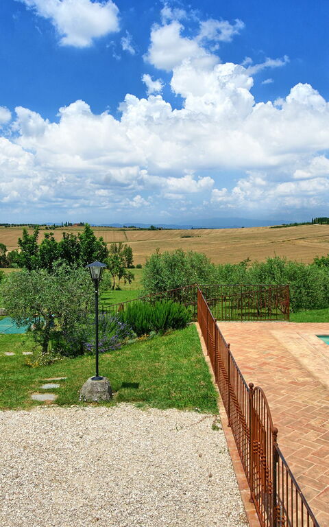 Villa Farneta: basseng, Hage