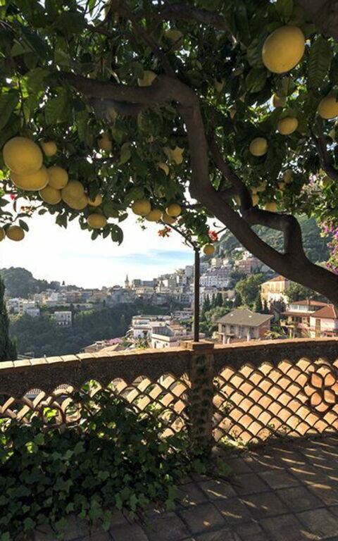 Villa La Boheme: Hage, Visningar