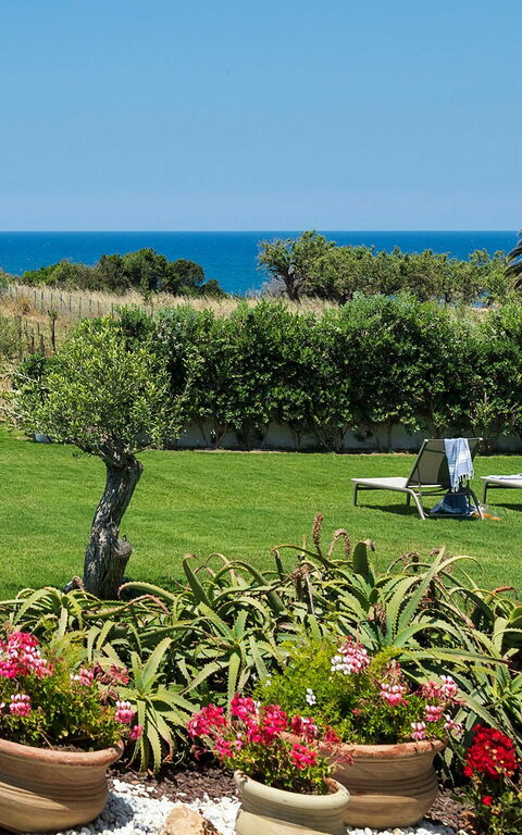 Villa Nettuno: Hage, Utendørs