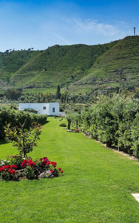 Villa Nettuno: Hage, Utendørs