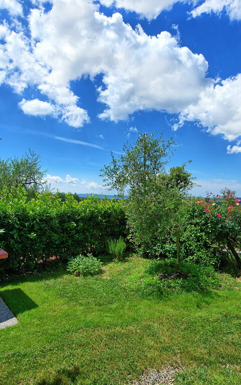 Villa Sonia: Utendørs