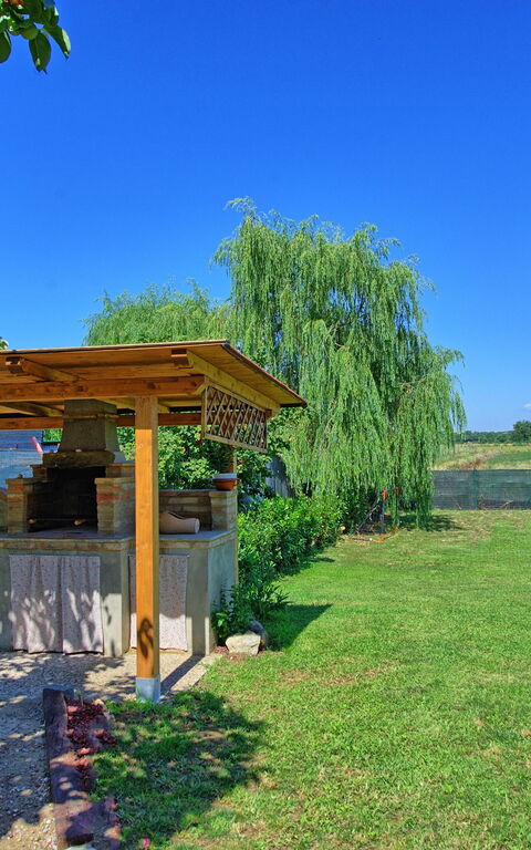 Casa Violina: Balkong / terrasse / uteplass, Hage