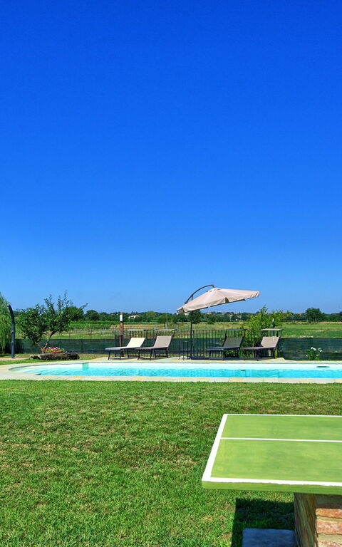 Casa Violina: basseng, Hage