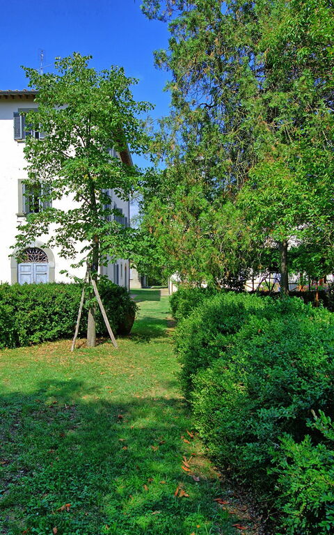 Villa Cangeli: Hage, Utendørs