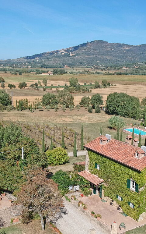 Villa Edo: Eksteriør, Utendørs, Visningar