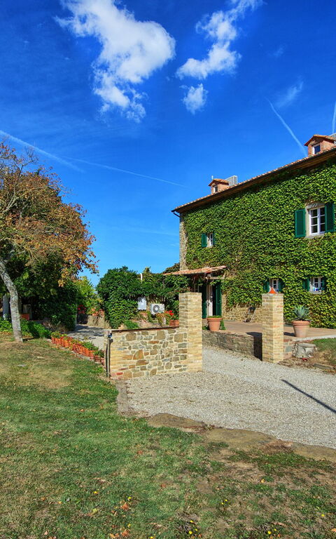 Villa Edo: Eksteriør, Hage, Utendørs