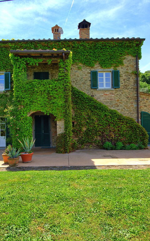 Villa Edo: Hage, Utendørs