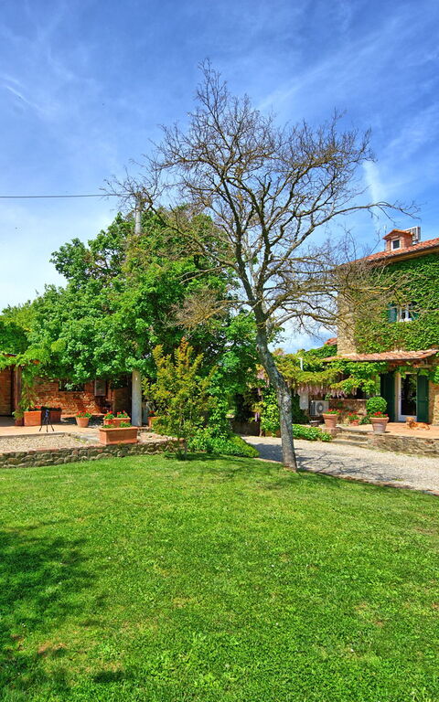 Villa Edo: Hage, Utendørs