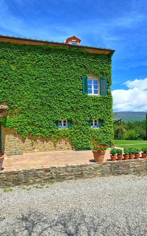 Villa Edo: Hage, Utendørs