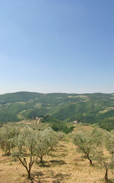 Casalta: Hage, Utendørs