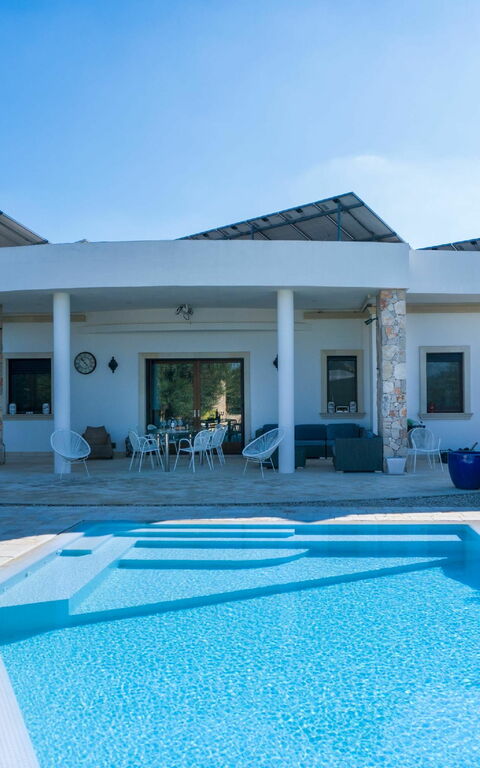 Villa Modigliani: basseng, Utendørs