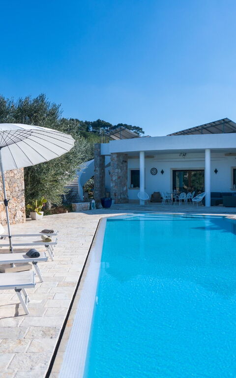 Villa Modigliani: basseng