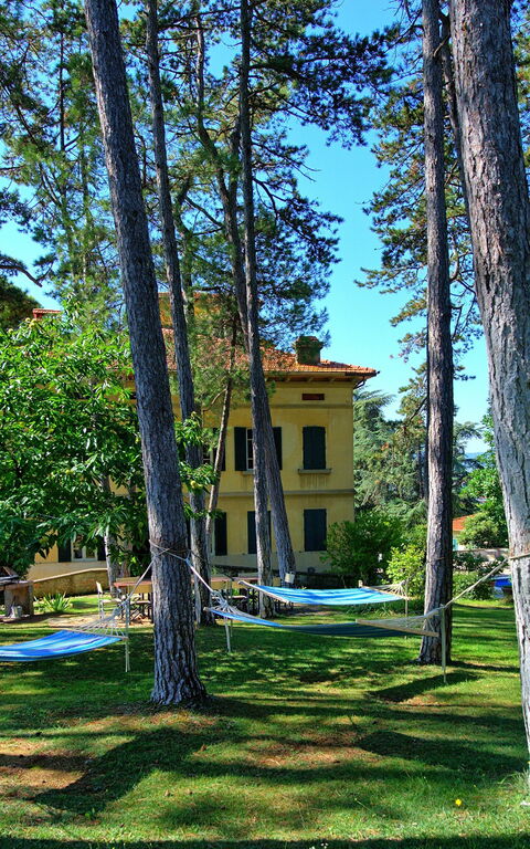 Villa Cuculo: Hage