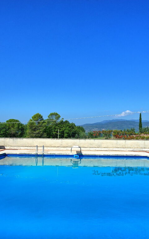 Villa Cuculo: basseng