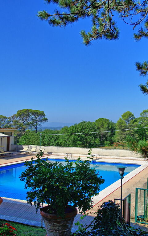 Villa Cuculo: basseng, Hage