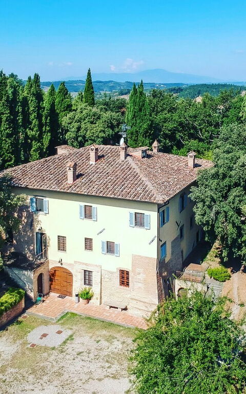 Moriolo: Eksteriør, Hage, Visningar