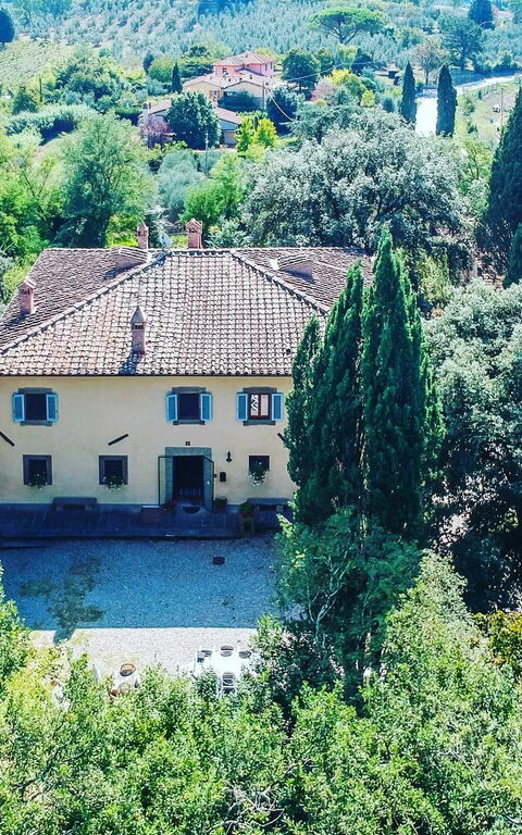 Moriolo: Eksteriør, Hage