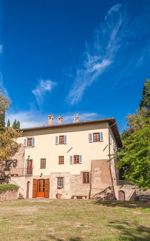 Moriolo: Eksteriør, Hage