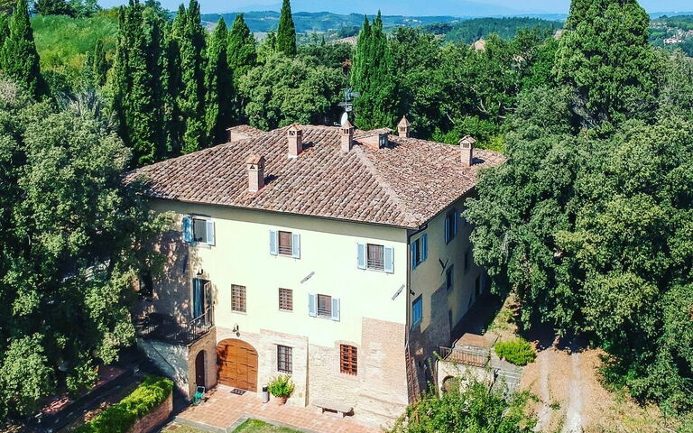 Moriolo: Eksteriør, Hage, Visningar