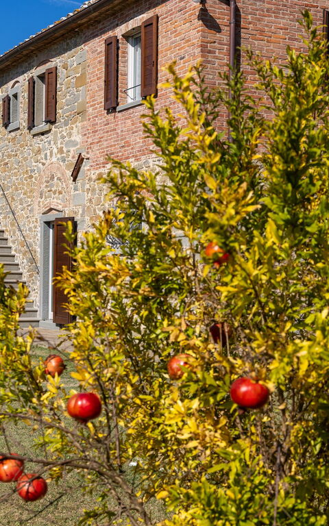 Villa Dei Vini: Eksteriør, Hage, Utendørs