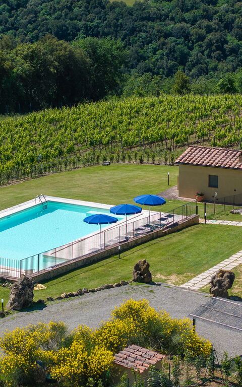 Villa Il Caggio: basseng, Eksteriør, Hage, Utendørs, Visningar