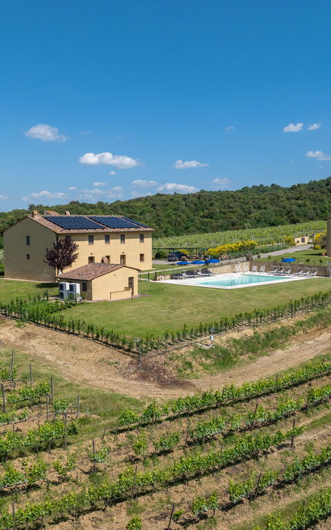 Villa Il Caggio: basseng, Visningar