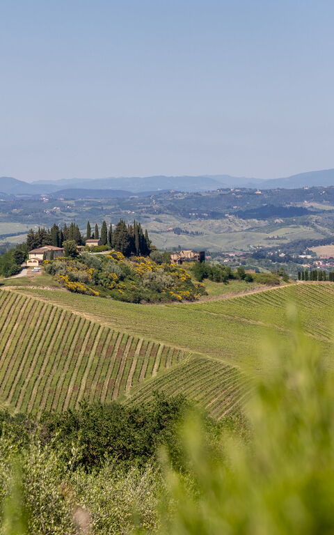 Villa Il Caggio: Visningar