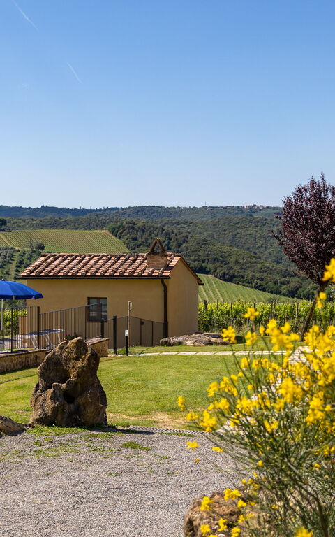 Villa Il Caggio: basseng, Eksteriør, Hage, Utendørs