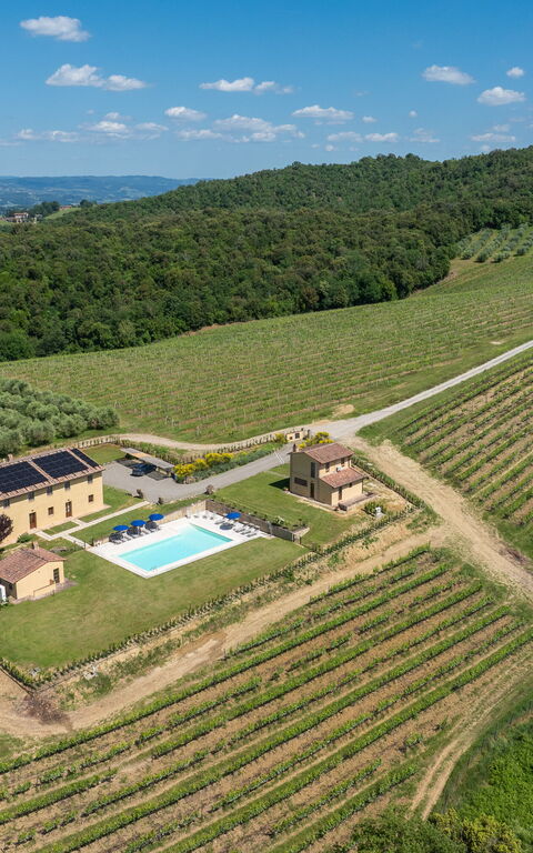Villa Il Caggio: Visningar