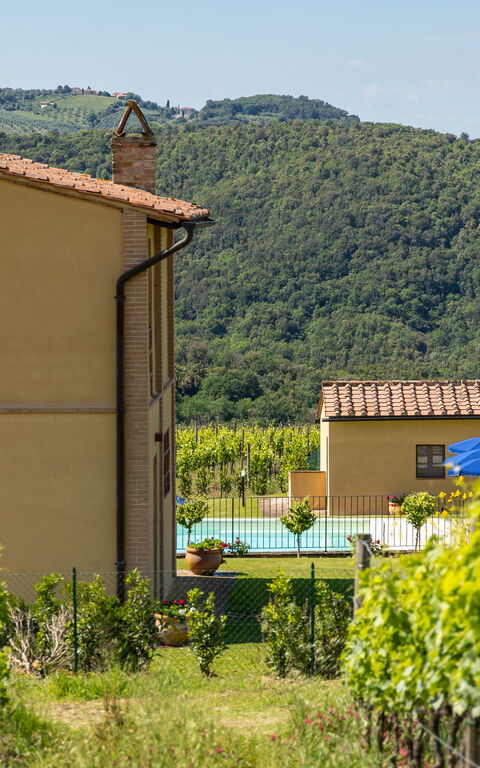 Villa Il Caggio: basseng, Eksteriør, Hage, Utendørs