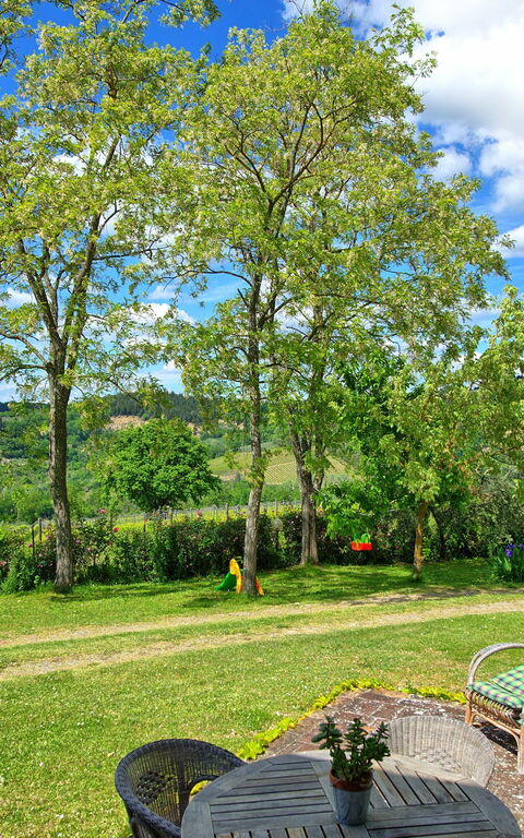 Maggiano: Hage, Visningar