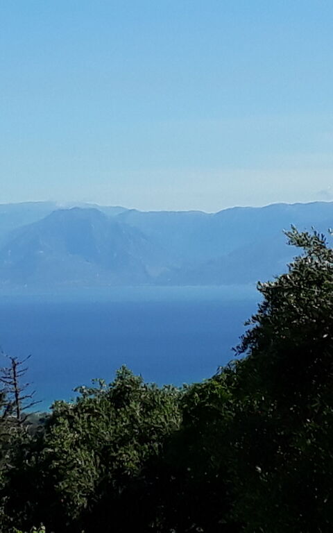 Villa Melodia: Visningar