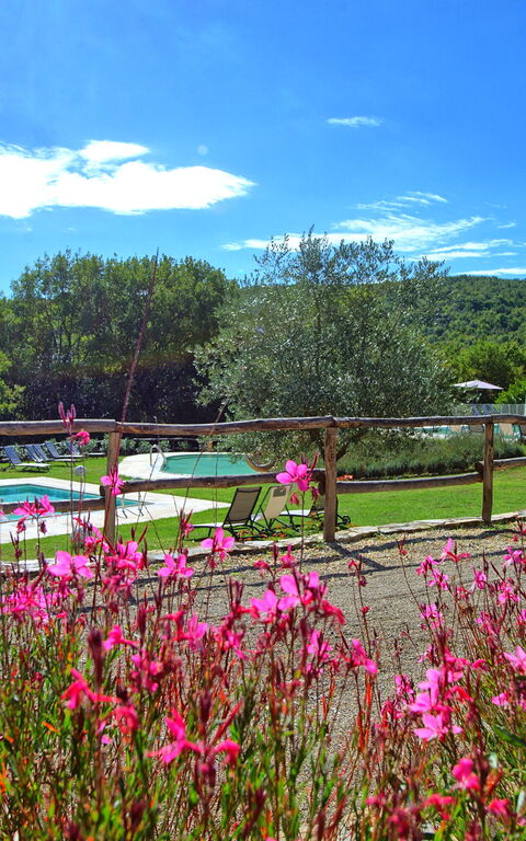 Borgo Mulignone: basseng, Hage