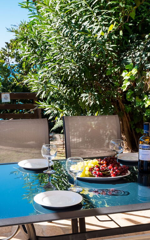 Beachfront Villa Rania: Hage, Utendørs