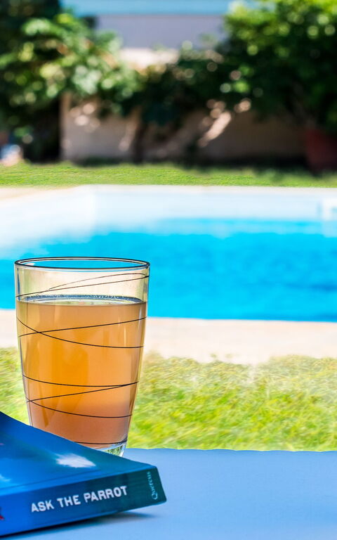 Beachfront Villa Rania: basseng, Hage