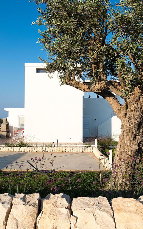 Villa San Lorenzo Palma: Hage, Utendørs