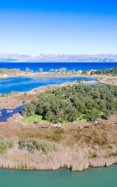 Villa Corfu Panorama: Visningar
