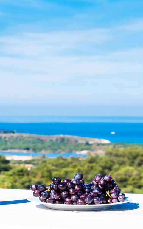 Villa Arete: Hage, Visningar