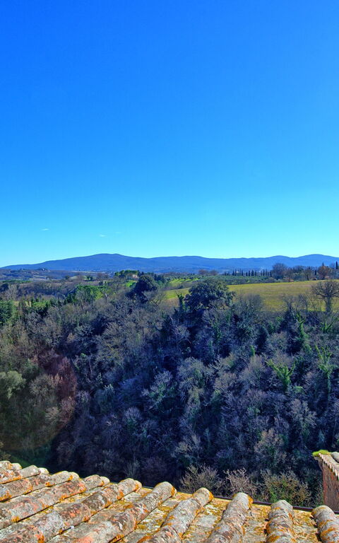 Palazzo Del Capitano: Visningar