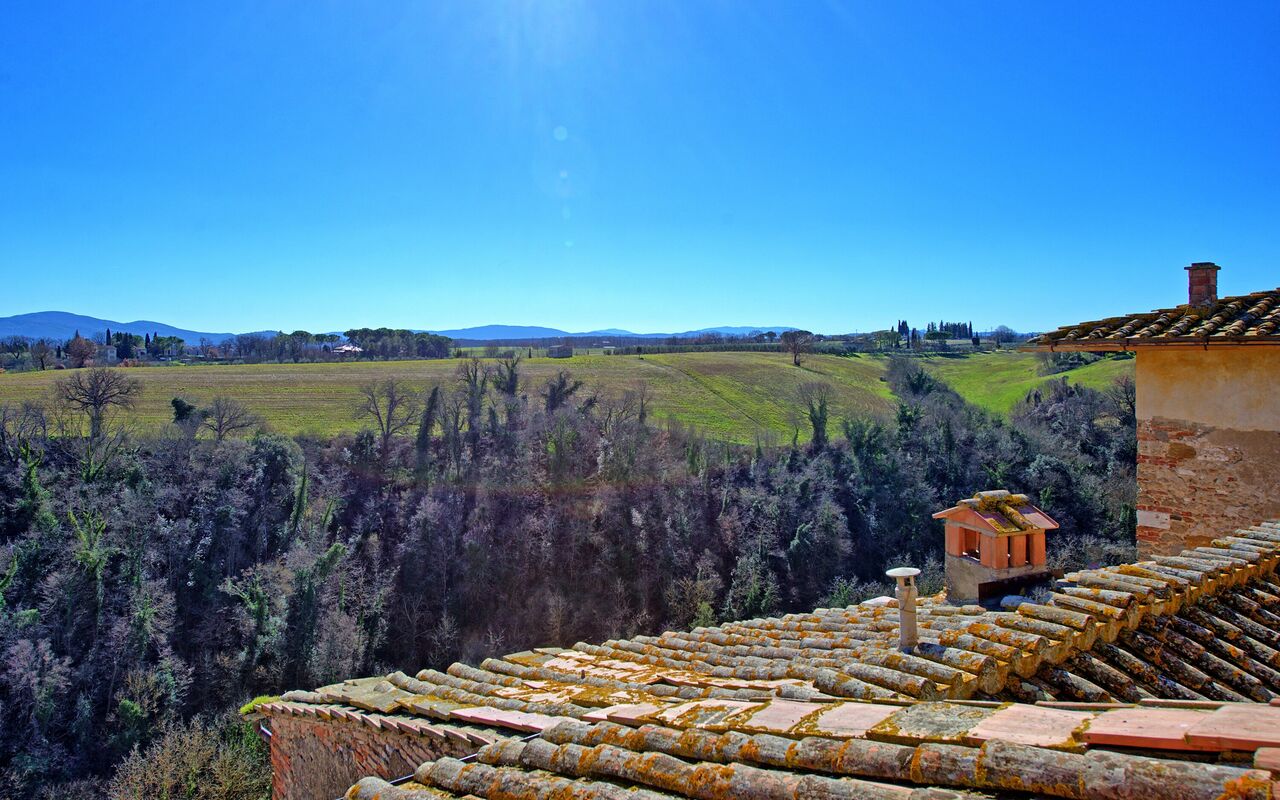 Palazzo Del Capitano: Visningar