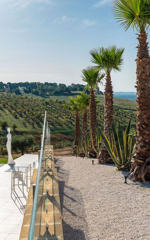 Villa Camemi: Hage, Sommer, Utendørs