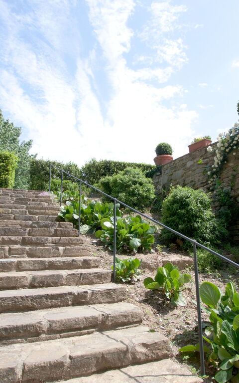 Santa Flora: Hage, Utendørs