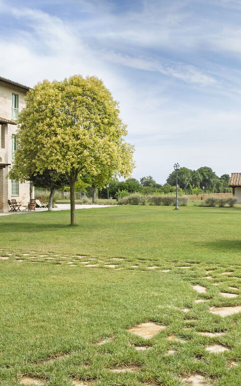 Villa Apollinare: Hage