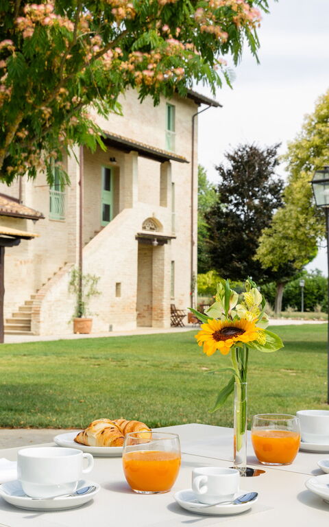 Villa Apollinare: Hage