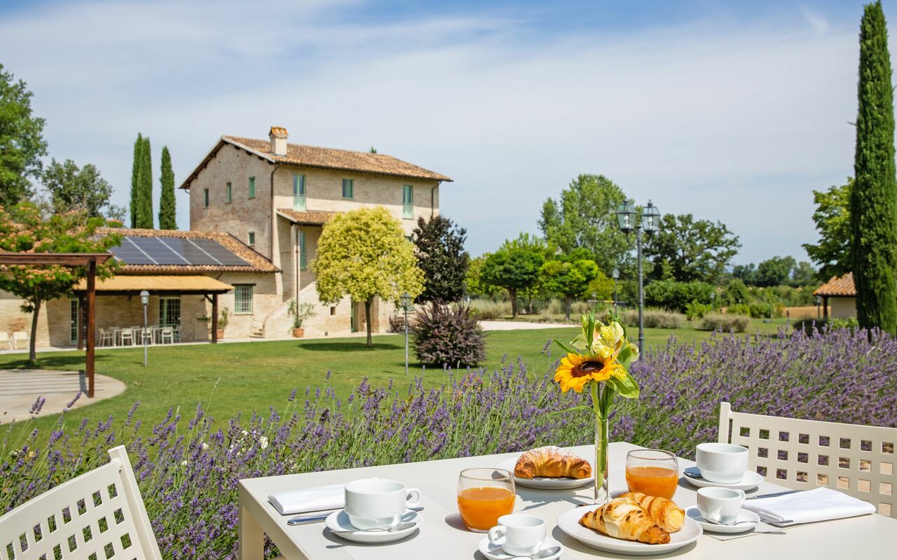 Villa Apollinare: Hage, Utendørs