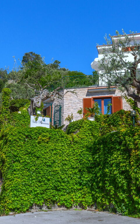 Villa Marianna: Eksteriør, Utendørs