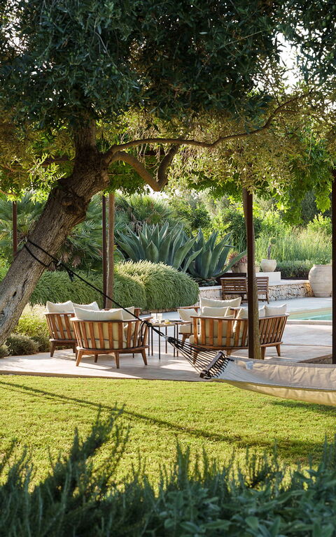 Villa Degli Aranci: basseng, Hage